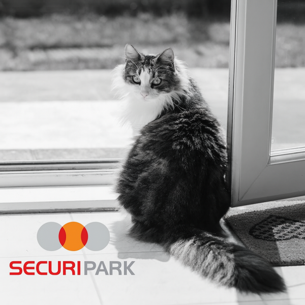 Pack alarme animaux Draguignan : système compatible chiens et chats